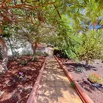 Lägenhet Guestready - Tenesor 115 Playa del Inglés